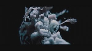 Чужой_ Земля — Русский тизер-трейлер (Субтитры, 2025)