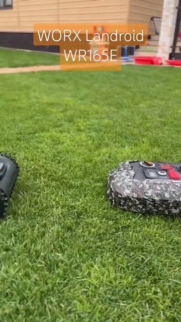Робот-газонокосилка WORX Landroid WG165E #worxlandroid #роботгазонок? смотреть онлайн