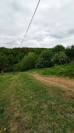 В Подмосковье