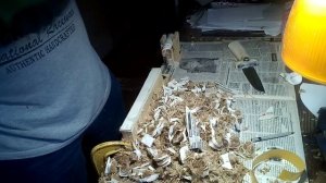 Канатный тест нержавеющей стали COR-X