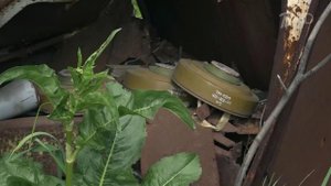 Саперы расчищают окрестности Красногоровки от мин и неразорвавшихся снарядов