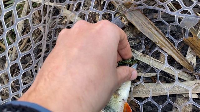 Рыбалка на реке Днестр. Ловля щуки на спиннинг. Щука на смотреть онлайн