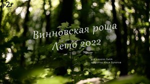 Летняя пора в Винновской роще