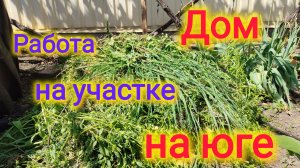 Переезд на юг/Ответ на колкий комментарий/Рецепт вкусной запеканки/Работа на участке