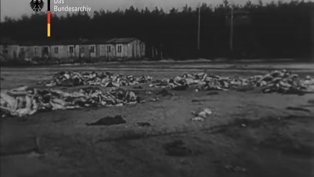 1945.06.15 Welt im Film № 05 (киножурнал - В МИРЕ, кинохроника после ВОВ), Германия.