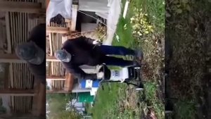 Садовый измельчитель веток и листьев Elmos EHS 35