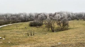 Обзор ARKON Arma HR50L