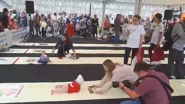 Забег ползунков смотреть онлайн