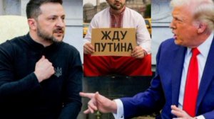 Зеленский собирался устроить скандал с Путиным на встрече наподобие того, что  устроил в белом дом