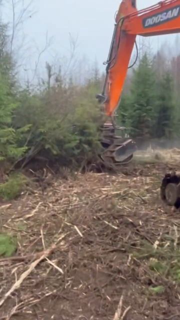 Мульчер работает на расчистке КСП ( контрольно- следов смотреть онлайн