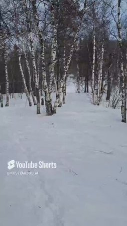 Природа Челябинской области