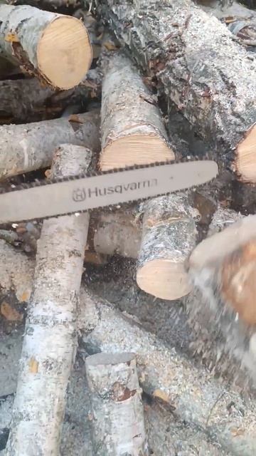 husgvarna 435#firewoodbusiness #woodworking #бензопила#chainsaw #holzbearbeitung смотреть онлайн