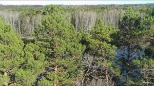 Енисейск 2025