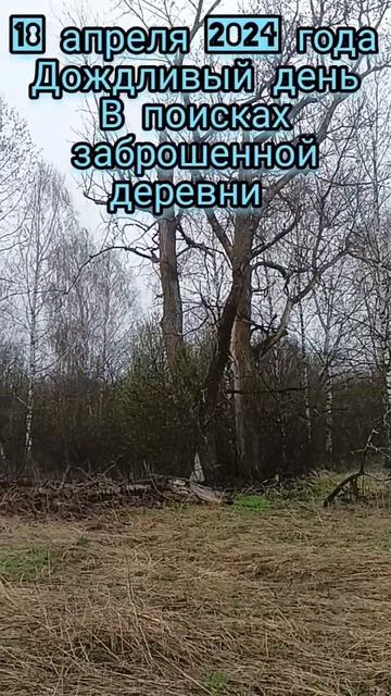 Урочище #garrett #metaldetecting #коп #металлоискатель #кладоиска смотреть онлайн