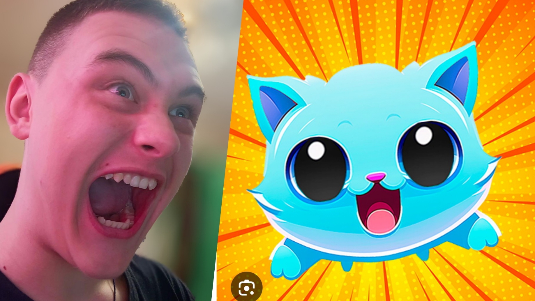 КОТ-НЕВИДИМКА СПАСАЕТ ЖИЗНЬ