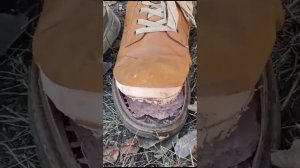 исполнение песни группы бутырка "шарик" ботинком