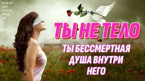 Люди - это не тела, а бессмертные духи внутри тел | Жизнь после смерти есть