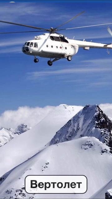 Изучаем транспорт. Машины для детей. #shorts #машина #тран? смотреть онлайн