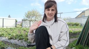 ЗАПУГАЛИ,БОЮСЬ ПРИЗНАТЬСЯ/ПОТЕРИ В ХОЗЯЙСТВЕ/СРОЧНОЕ ПЕРЕСЕЛЕНИЕ/ХОРОШО В ДЕРЕВНЕ