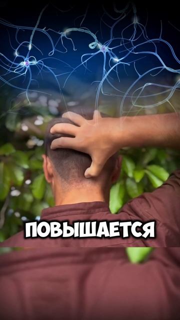 Точка G вашего организма смотреть онлайн