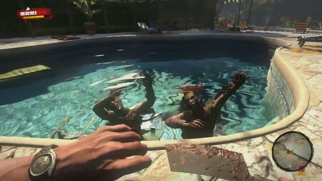 Мои фаны :D смотреть онлайн