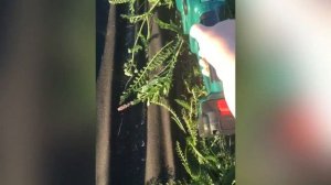 Обзор: Аккумуляторные ножницы-кусторез FD-001