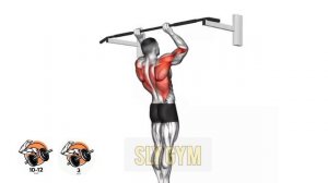 Идеальные Упражнения для ТРАПЕЦИИ / тренировка Трапец