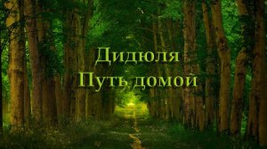 Дидюля "Путь домой" кавер