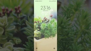 XRecorder_202 бю оплошности то