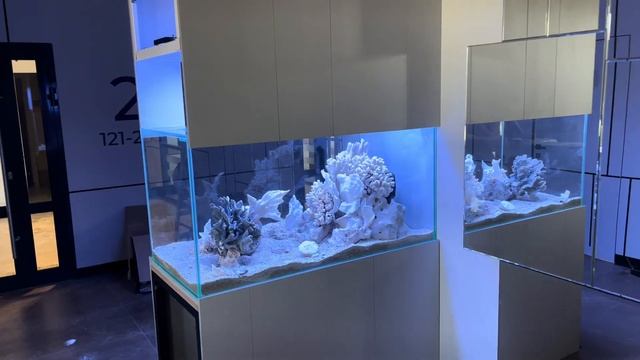 Аквариумпермь.рф - проект "АКВА" - аквариум в стиле псевдоморе объемом 430 смотреть онлайн