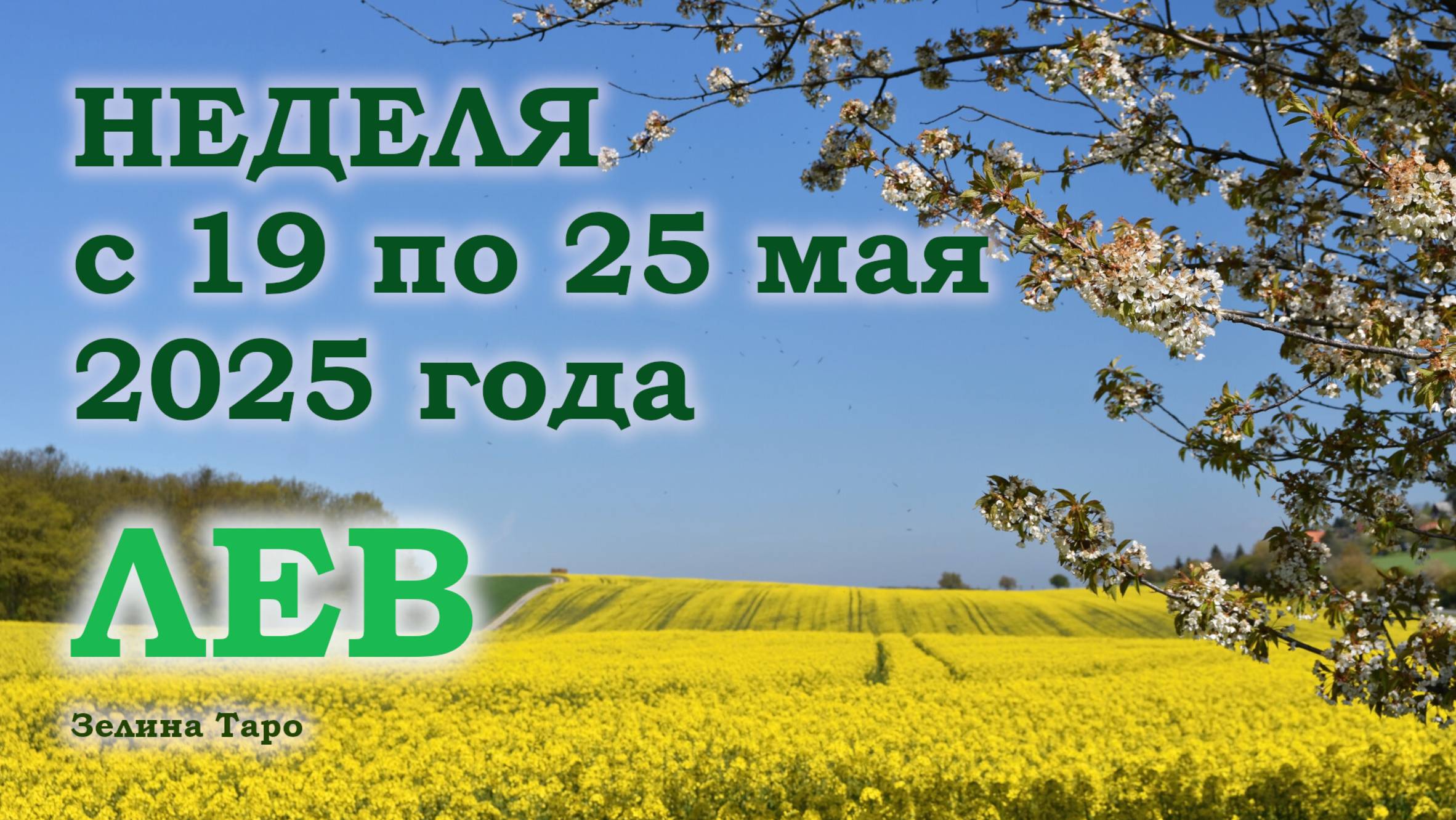 ЛЕВ | ТАРО прогноз на неделю с 19 по 25 мая 2025 года