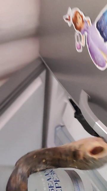 Вот такой натюрморт в холодосе)) смотреть онлайн