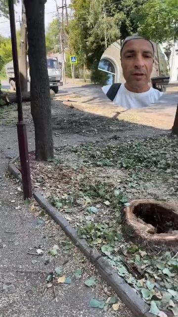 Для чего в городе пилят деревья? смотреть онлайн