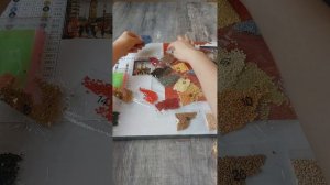 Асмр алмазная мозаика на подрамнике