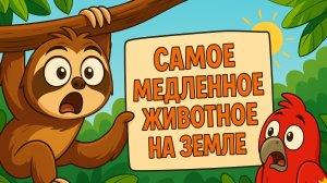 Ленивец — Самое Медленное Животное на Земле! Ты Удивишься!  Познавательная История Для Детей |