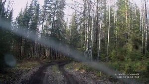 Дорога на Полюд1