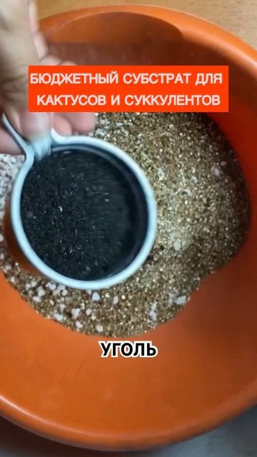 #грунт для кактусов и суккулентов #земля для кактусов ? смотреть онлайн