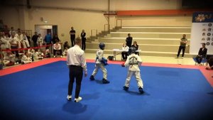 Лучшие моменты сезона 2023-2024 г. Тхэквондо ИТФ #itftaekwondo #mma