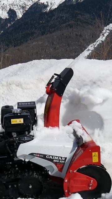 CAIMAN EDO 32H #gardening #садоваятехника #обзор #садовод# #обзор#sh смотреть онлайн