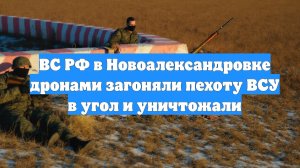 ВС РФ в Новоалександровке дронами загоняли пехоту ВСУ в угол и уничтожали