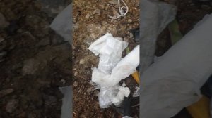 Обзор плугов от Владимира Шкуратова