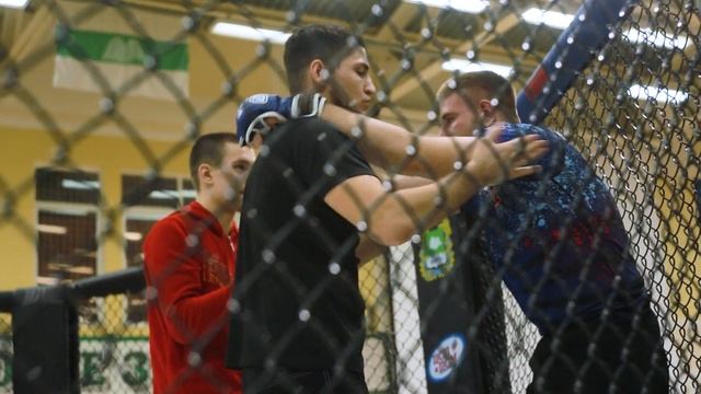 Чемпионат и Первенство Курганской области по ММА смотреть онлайн
