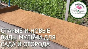 Старые и новые способы мульчирования