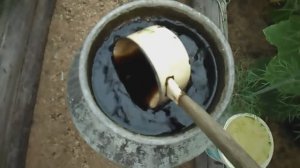 ЧЕМ ПОДКОРМИТЬ КАБАЧКИ. ПРАКТИЧЕСКИЕ СОВЕТЫ ПО ВЫРАЩИВАНИЮ КАБАЧКОВ