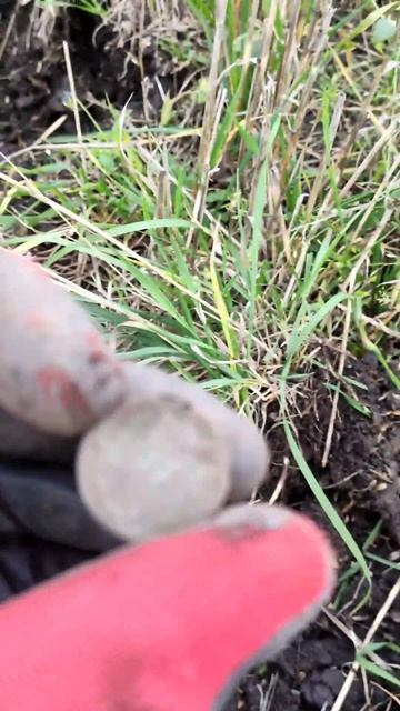 Квазар АРМ. 1 копейка 1865 г. смотреть онлайн