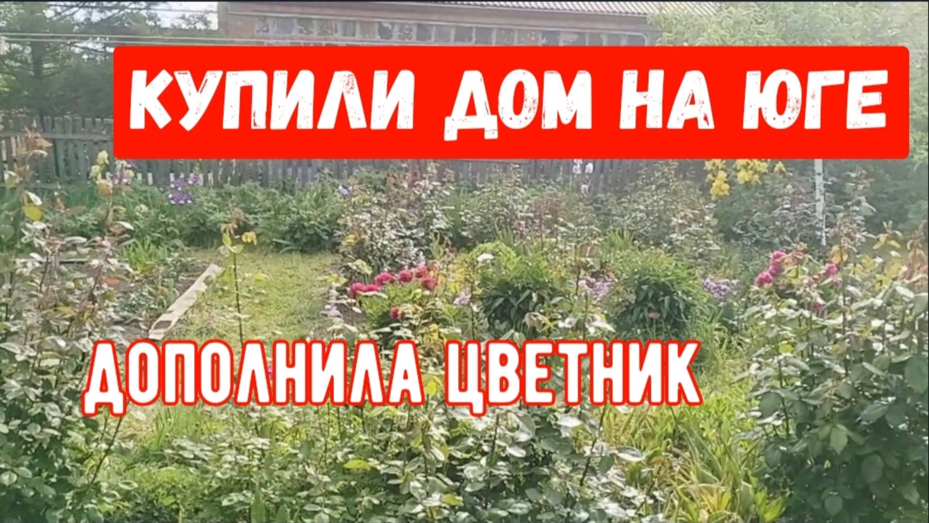 #23🌷16 мая.Приезжали гости/Новая клумба/Чем обработала томаты