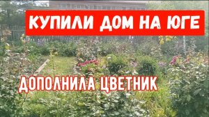 #23🌷16 мая.Приезжали гости/Новая клумба/Чем обработала томаты