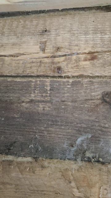 Грибок в бане смотреть онлайн