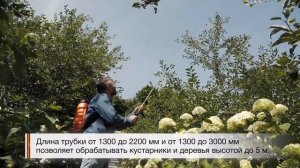 Брандспойт Жук телескопический универсальный (стекло