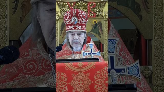 Неделя 5 по Пасхе, о самаряныне.mp4